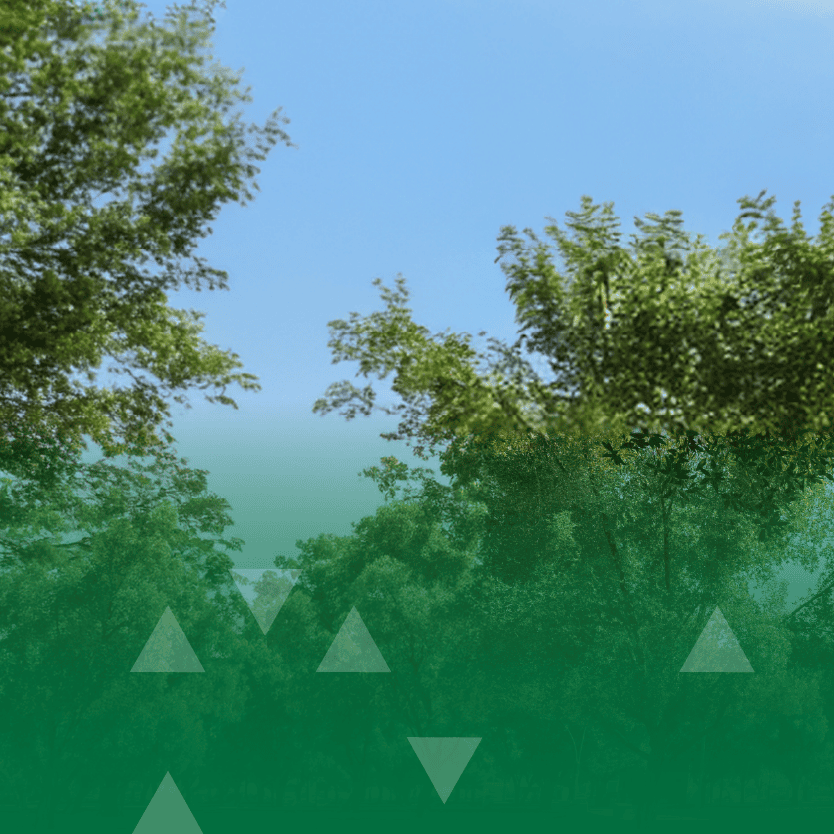 أمانة منطقة الرياض تعلن عن إنشاء حديقتين كبيرتين بمساحة إجمالية تبلغ 317 ألف متر مربع