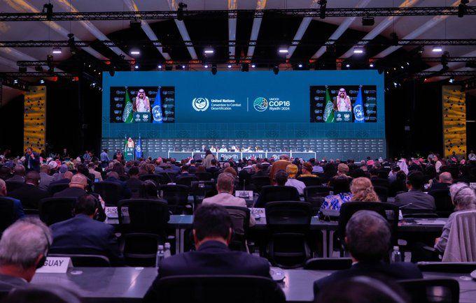 مؤتمر الأطراف السادس عشر لاتفاقية الأمم المتحدة لمكافحة التصحر(COP16) مؤتمر الأطراف السادس عشر لاتفاقية الأمم المتحدة لمكافحة التصحر(COP16)